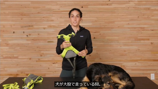 ★新品未使用★【ruffwear】オムニジョア ジョーリング システム（S） ジョーリングシステム,ラフウェア【ラフウェア RuffWear】